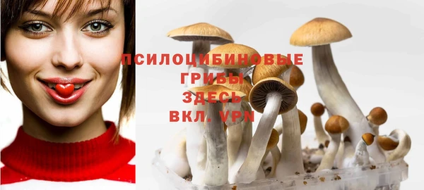 кокаин перу Заводоуковск