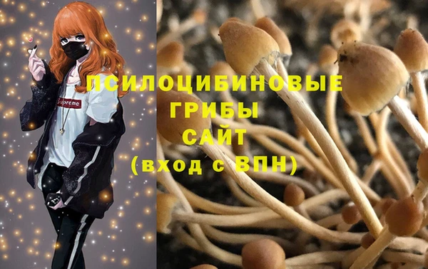 apvp Зеленокумск