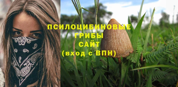ешки Зеленодольск